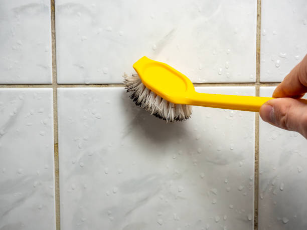 Best Toxic Mold Removal  in Coalville, UT