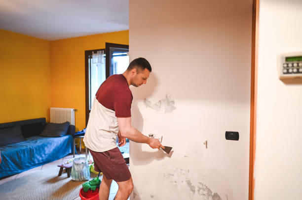 Best Residential Mold Removal  in Coalville, UT