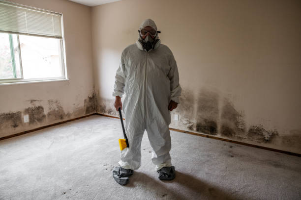 Best Residential Mold Removal  in Coalville, UT